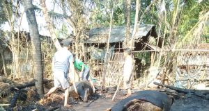 Diduga Akibat Api Bediang, 5 Ekor Ternak Jadi Korban