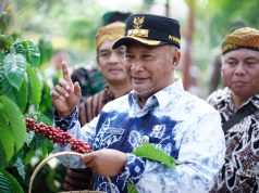 Pj. Bupati Pati Buka Tradisi Wiwit Panen Kopi Robusta Jollong