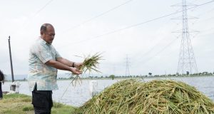 Tinjau Gagal Panen Akibat Banjir, Pemkab. Pati Berikan Bantuan ke Masyarakat Terdampak