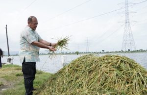 Tinjau Gagal Panen Akibat Banjir, Pemkab. Pati Berikan Bantuan ke Masyarakat Terdampak
