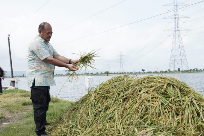 Tinjau Gagal Panen Akibat Banjir, Pemkab. Pati Berikan Bantuan ke Masyarakat Terdampak