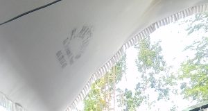Sedekah Bumi Tegalarum,Seorang Warga Berikan Seikat Padi Kepada Kepala Desa,Apa Maknanya