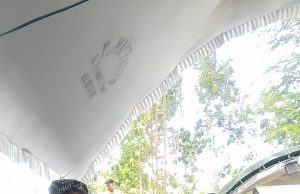 Sedekah Bumi Tegalarum,Seorang Warga Berikan Seikat Padi Kepada Kepala Desa,Apa Maknanya