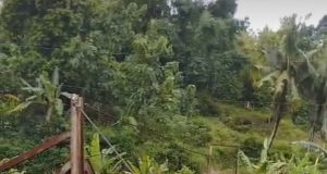 Jembatan Penghubung Antar Kabupaten Pati – Jepara Akhirnya Ambrol