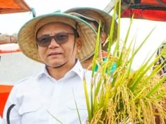 Bumiharjo Buktikan Panen 10 Ton Per Hektare