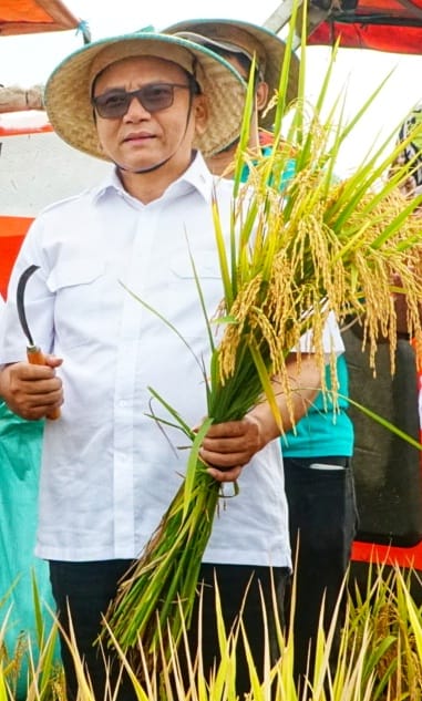 Bumiharjo Buktikan Panen 10 Ton Per Hektare