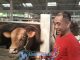 Berawal Dari Kepepet Butuh, Omset Amira Fam Cattle And Sheep Kini Tembus Miliaran Rupiah