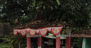 SEDEKAH BUMI : TRADISI SYUKURAN KEPADA ALAM DI RT.03 RW.04 DESA LANDOH KECAMATAN SULANG KABUPATEN REMBANG PROVINSI JAWA TENGAH