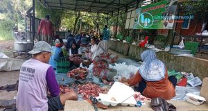 Yayasan Jabal Nur Sembelih 3 Sapi dan 2 Kambing pada Idul Adha 1447 H