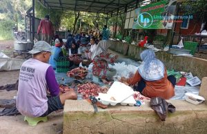 Yayasan Jabal Nur Sembelih 3 Sapi dan 2 Kambing pada Idul Adha 1447 H