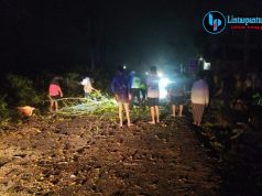 Polsek Jaken Gerak Cepat Evakuasi Pohon Tumbang di Jalur Jaken–Jakenan