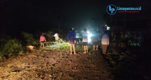 Polsek Jaken Gerak Cepat Evakuasi Pohon Tumbang di Jalur Jaken–Jakenan