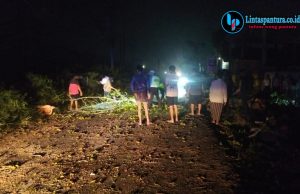 Polsek Jaken Gerak Cepat Evakuasi Pohon Tumbang di Jalur Jaken–Jakenan