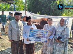 Sapi Bantuan Presiden untuk Warga Kudus Disembelih di Kaliwungu