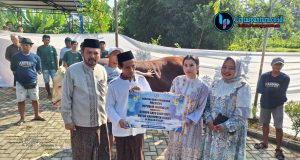 Sapi Bantuan Presiden untuk Warga Kudus Disembelih di Kaliwungu