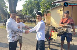 Polresta Pati Sembelih 12 Sapi, 1 Kerbau, dan 21 Kambing pada Iduladha 1447 H