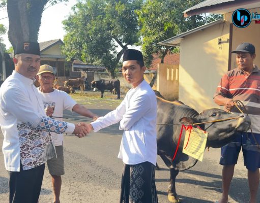 Polresta Pati Sembelih 12 Sapi, 1 Kerbau, dan 21 Kambing pada Iduladha 1447 H