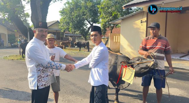 Polresta Pati Sembelih 12 Sapi, 1 Kerbau, dan 21 Kambing pada Iduladha 1447 H