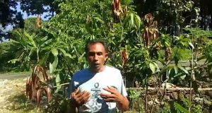 Demo Hari Anti Tambang di Pati Diwarnai Insiden Pembakaran Poster di Depan Pendopo