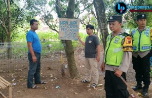 Digrebek Polisi, Arena Sabung Ayam di Bae Kudus Kocar-Kacir Tinggalkan 14 Motor