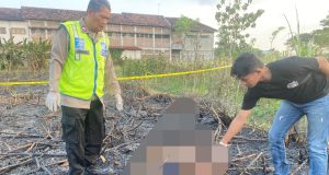 Tragis, Petani Meninggal Saat Membakar Daun Tebu di Sawah Wedarijaksa