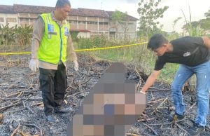 Tragis, Petani Meninggal Saat Membakar Daun Tebu di Sawah Wedarijaksa