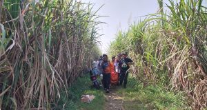 Petani Lansia di Kudus Ditemukan Meninggal di Area Persawahan