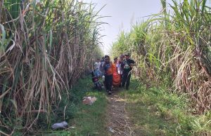 Petani Lansia di Kudus Ditemukan Meninggal di Area Persawahan