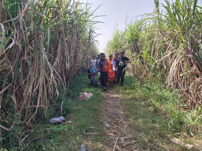 Petani Lansia di Kudus Ditemukan Meninggal di Area Persawahan