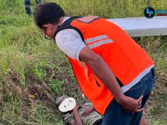 Lagi Cari Rumput, Warga Kaliwungu Temukan Lansia MD di Area Persawahan