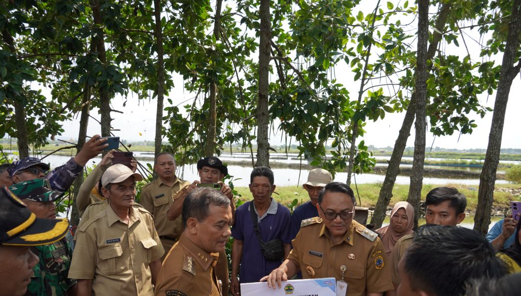 Pemerintah Kabupaten Pati Kawal Penanganan Banjir Rob Desa Tunggulsari Pastikan Percepatan Pemulihan