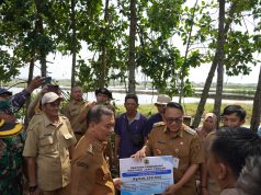 Pemerintah Kabupaten Pati Kawal Penanganan Banjir Rob Desa Tunggulsari Pastikan Percepatan Pemulihan