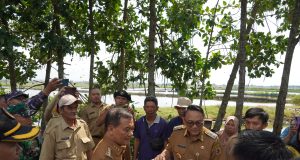Pemerintah Kabupaten Pati Kawal Penanganan Banjir Rob Desa Tunggulsari Pastikan Percepatan Pemulihan