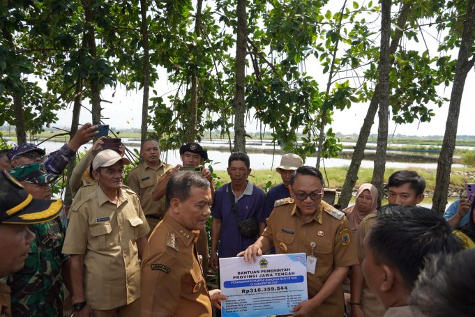 Pemerintah Kabupaten Pati Kawal Penanganan Banjir Rob Desa Tunggulsari Pastikan Percepatan Pemulihan