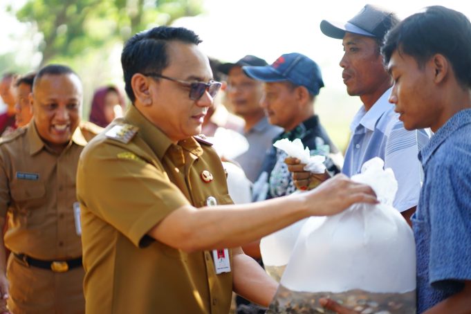166 Ribu Benih Ikan Nila Disalurkan untuk Pembudidaya Terdampak Banjir di Pati
