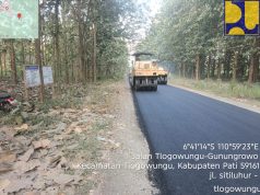 Rehabilitasi Dua Ruas Jalan di Tlogowungu Rampung Lebih Cepat dari Jadwal