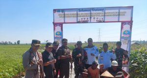 Dandim dan Mas Wiwit Kompak Gaspol! TMMD Jepara Bidik Jalan Mulus hingga Rumah Layak Huni