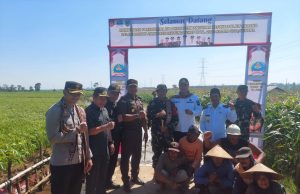 Dandim dan Mas Wiwit Kompak Gaspol! TMMD Jepara Bidik Jalan Mulus hingga Rumah Layak Huni