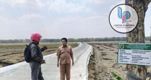 Jalan Pertanian Grogolsari Diperlebar, Dibiayai Bankab Rp100 Juta