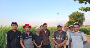 Buntut Dugaan Salah Titik Planning, Proyek LPJU Rp 5 Miliar di Kudus Terpaksa Dibongkar