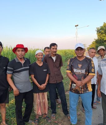 Buntut Dugaan Salah Titik Planning, Proyek LPJU Rp 5 Miliar di Kudus Terpaksa Dibongkar